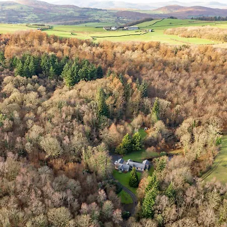 Bracken Ground
