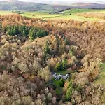 Bracken Ground